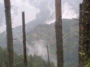 5.7.06 Wauna Point 030 